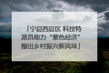 宁夏西夏区 科技特派员助力“紫色经济”酿出乡村振兴新风味