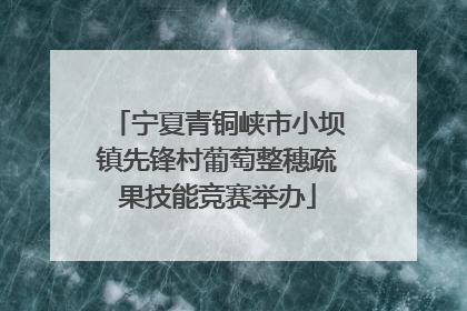 宁夏青铜峡市小坝镇先锋村葡萄整穗疏果技能竞赛举办