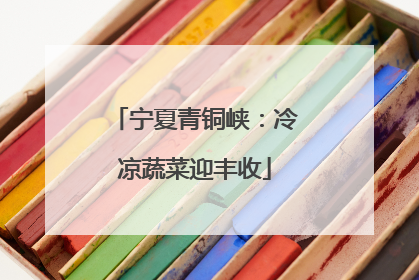宁夏青铜峡：冷凉蔬菜迎丰收