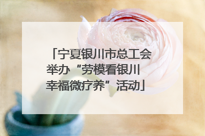 宁夏银川市总工会举办“劳模看银川 幸福微疗养”活动