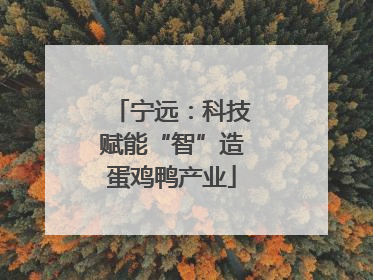 宁远：科技赋能“智”造蛋鸡鸭产业