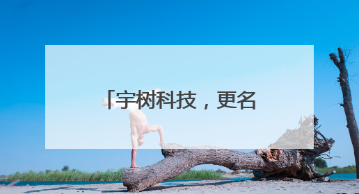 宇树科技，更名！回应来了→