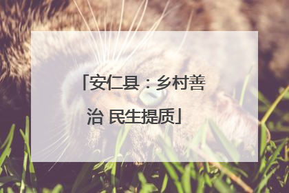 安仁县：乡村善治 民生提质