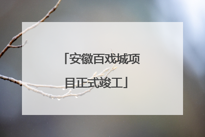 安徽百戏城项目正式竣工