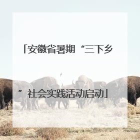 安徽省暑期“三下乡”社会实践活动启动
