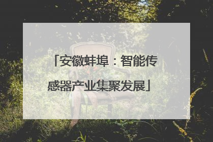 安徽蚌埠：智能传感器产业集聚发展
