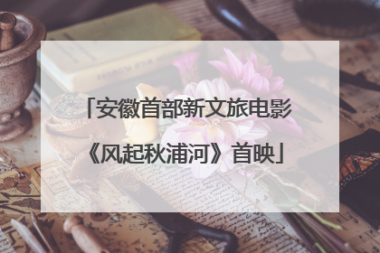 安徽首部新文旅电影《风起秋浦河》首映