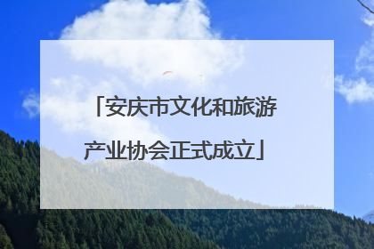 安庆市文化和旅游产业协会正式成立