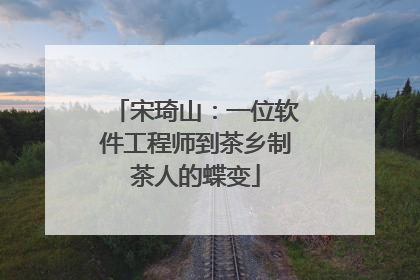 宋琦山：一位软件工程师到茶乡制茶人的蝶变