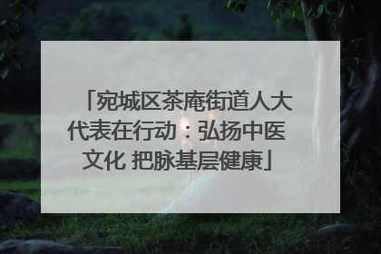 宛城区茶庵街道人大代表在行动：弘扬中医文化 把脉基层健康