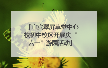 宜宾翠屏草堂中心校初中校区开展庆“六一”游园活动
