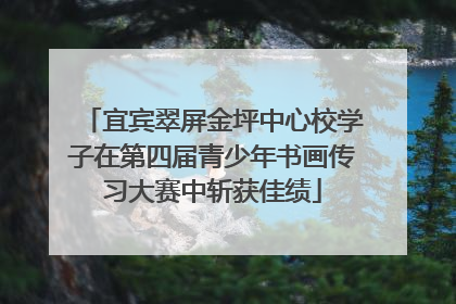 宜宾翠屏金坪中心校学子在第四届青少年书画传习大赛中斩获佳绩