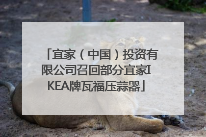 宜家（中国）投资有限公司召回部分宜家IKEA牌瓦福压蒜器