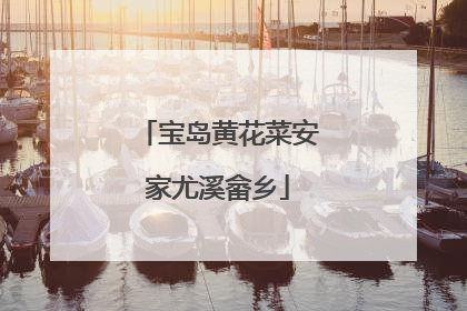 宝岛黄花菜安家尤溪畲乡