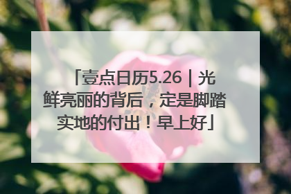 壹点日历5.26｜光鲜亮丽的背后，定是脚踏实地的付出！早上好