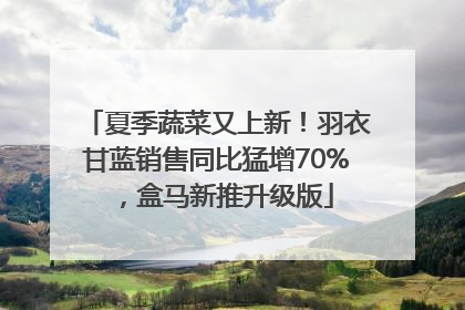 夏季蔬菜又上新！羽衣甘蓝销售同比猛增70%，盒马新推升级版