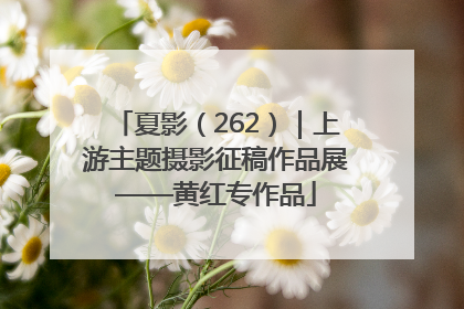夏影（262）｜上游主题摄影征稿作品展——黄红专作品