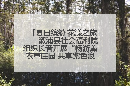 夏日缤纷·花漾之旅——溆浦县社会福利院组织长者开展“畅游薰衣草庄园 共享紫色浪漫”户外活动