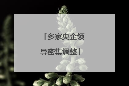 多家央企领导密集调整