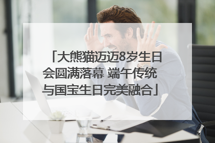 大熊猫迈迈8岁生日会圆满落幕 端午传统与国宝生日完美融合
