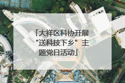 大祥区科协开展“送科技下乡”主题党日活动
