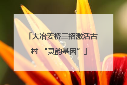 大冶姜桥三招激活古村 “灵韵基因”