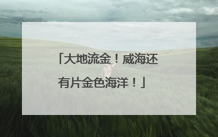 大地流金！威海还有片金色海洋！
