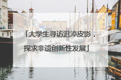 大学生寻访沮漳皮影，探求非遗创新性发展
