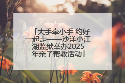 大手牵小手 约好一起走——沙洋小江湖监狱举办2025年亲子帮教活动