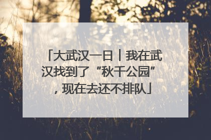 大武汉一日︱我在武汉找到了“秋千公园”，现在去还不排队