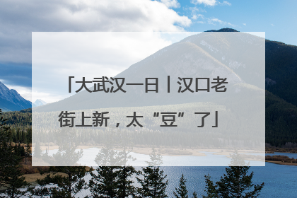 大武汉一日︱汉口老街上新，太“豆”了