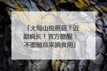 大蜀山捡蘑菇？近期疯长！官方提醒：不要随意采摘食用
