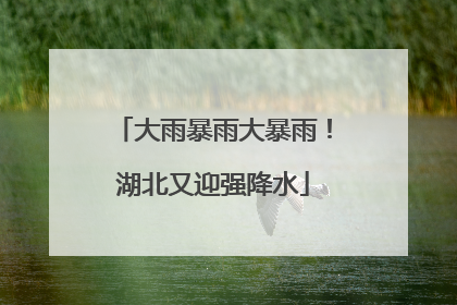 大雨暴雨大暴雨！湖北又迎强降水