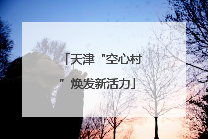 天津“空心村”焕发新活力