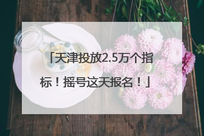 天津投放2.5万个指标！摇号这天报名！