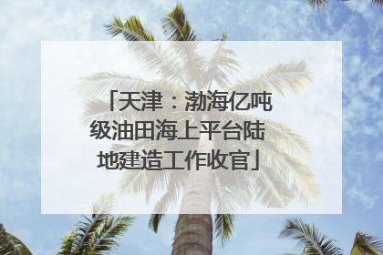 天津：渤海亿吨级油田海上平台陆地建造工作收官