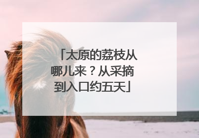 太原的荔枝从哪儿来？从采摘到入口约五天