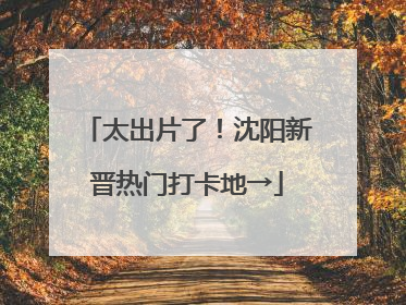 太出片了！沈阳新晋热门打卡地→