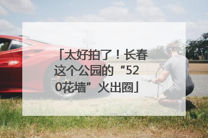 太好拍了！长春这个公园的“520花墙”火出圈