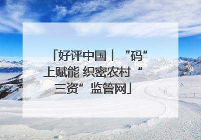 好评中国丨“码”上赋能 织密农村“三资”监管网