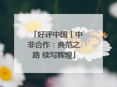 好评中国丨中非合作：典范之路 续写辉煌