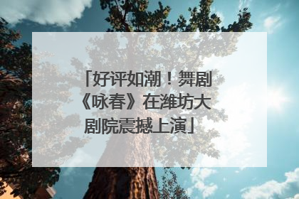 好评如潮！舞剧《咏春》在潍坊大剧院震撼上演