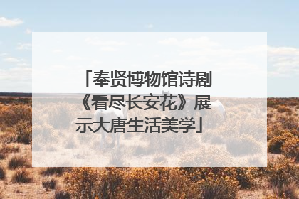 奉贤博物馆诗剧《看尽长安花》展示大唐生活美学