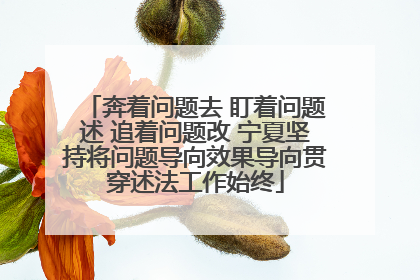 奔着问题去 盯着问题述 追着问题改 宁夏坚持将问题导向效果导向贯穿述法工作始终