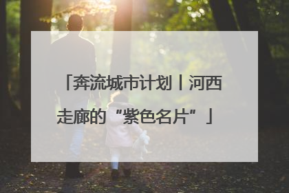 奔流城市计划丨河西走廊的“紫色名片”
