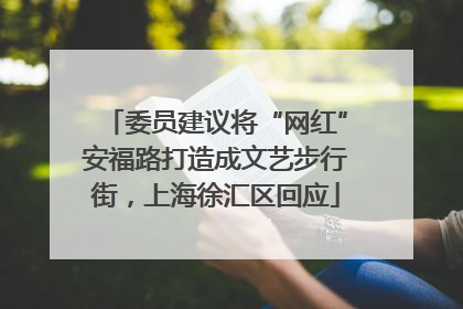 委员建议将“网红”安福路打造成文艺步行街，上海徐汇区回应