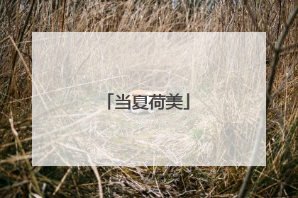 当夏荷美