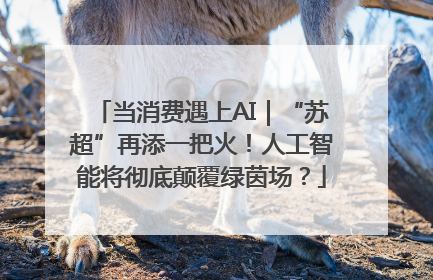 当消费遇上AI｜“苏超”再添一把火！人工智能将彻底颠覆绿茵场？