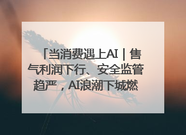 当消费遇上AI｜售气利润下行、安全监管趋严，AI浪潮下城燃企业如何破局