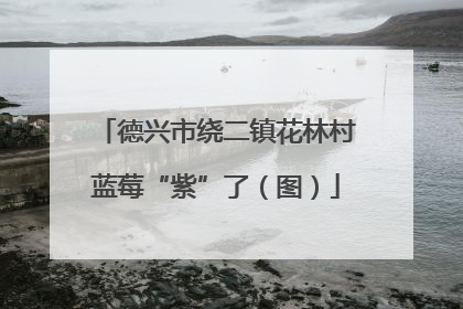 德兴市绕二镇花林村蓝莓“紫”了（图）